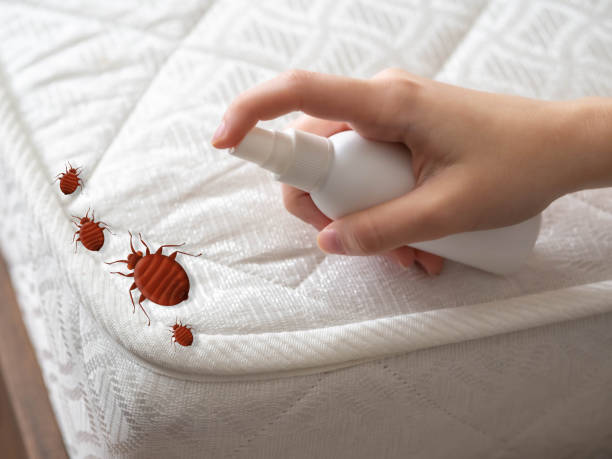 Pest Control Cost in Dulce, NM